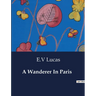 A Wanderer In Paris