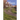 A Place to Live