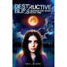 Destructive Bliss: Destructive Series: Book One