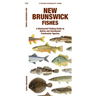 New Brunswick Fishes: A Folding Guide to Native and Introduced Freshwater Species