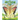 The Butterfly Tree