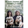 A Puppy's Perspective: 101 Puppy Training Tips You Need to Know