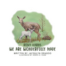 Rosey Learns: We are Wonderfully Made