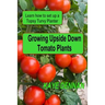 Growing Upside Down Tomato Plants: Learn How to Set Up a Topsy Turvy Planter