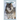 White Fang