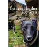 Between Heather and Grass: Poems and Photographs Filled with Love, Hope and Whippets