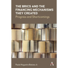 The Brics and the Financing Mechanisms They Created: Progress and Shortcomings