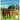 Happenstance Farms: A New Home
