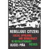 Rebellious Citizens: Social Upheaval and Democracy in Revolutionary Mexico