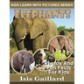 Elephants: Photos and Fun Facts for Kids