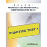 TExES Pedagogy and Professional Responsibilities Ec-12 Practice Test 1