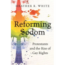 Reforming Sodom: Protestants and the Rise of Gay Rights