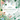 Enchanted: Color Your Way Through Nature's Hidden Gems
