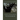 What I have done with birds: Large Print Edition for a better reading experience
