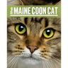 The Maine Coon Cat