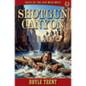 Shotgun Canyon: Tales of the Old Wild West - Book 15