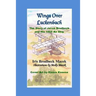 Wings Over Luckenbach: The Story of Jacob Brodbeck and His 1865 Air Ship