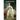 Lady Susan