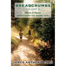 Breadcrumbs Vol. 2: Poems & Prose Found Along the Sacred Path
