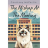 The Mishap at the Meeting