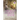 The World Starts Anew
