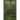 Estuary