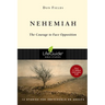 Nehemiah: Courage in the Face of Opposition