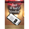 Just What I Needed: Daily Devotional