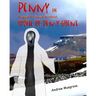 Penny, the (Vengeful & Sweet-Toothed) Sprite of Pen-y-Ghent