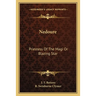Nedoure: Priestess Of The Magi Or Blazing Star