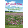 Echinacea: Nature's Best Kept Secret for Stress and Anxiety