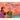 Where Three Oceans Meet: A Picture Book