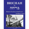 Brichah: (Hebrew for Escape or Flight)