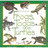 Frogs, Toads & Turtles