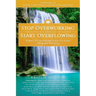 Stop Overworking and Start Overflowing: 25 Ways to Transform Your Life Using Human Design