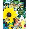What a Surprise!: A Caterpillar to a Butterfly