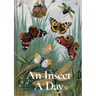 An Insect a Day