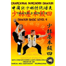 Shaolin Basic Level 4