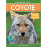 Coyote: Fascinating Animal Facts for Kids