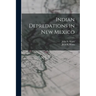 Indian Depredations in New Mexico