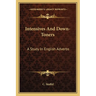 Intensives And Down-Toners: A Study In English Adverbs