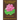 The Symbolisms in Buddhism: A Clear, Engaging, And In-depth Writing On The Buddha's Philosophies With Many Life Examples. Learn How To Put His Teachin