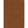 CSB He Reads Truth Bible, Saddle Leathertouch, Indexed