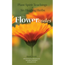 Plant Spirit Teachings of Six Healing Herbs