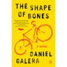 The Shape of Bones