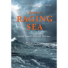 Into a Raging Sea: Great South African Rescues