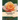 The Rose, Its History