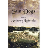 Sun Dogs