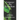 Grïgnyr the Ecordian: A Retelling of the Eye of Argon
