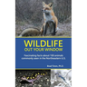 Wildlife Out Your Window: Fascinating Facts About 100 Animals Commonly Seen in the Northeastern U.S.